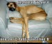 funny-dog-pictures-fold-dog-couch-directions